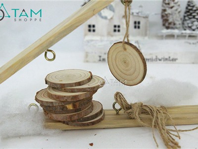 Combo 10 Lát gỗ mini trang trí Đk 5cm số 03